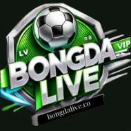 Bongdalive Co