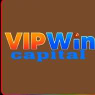 vipwin capital
