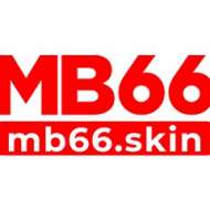 mb66 skin