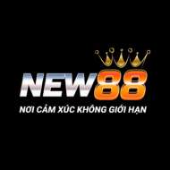 NEW 88