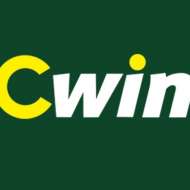 cwin05vn pro