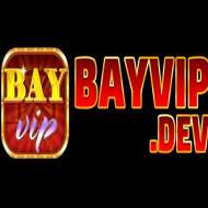 Bayvip dev