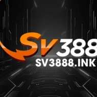 sv3888 ink