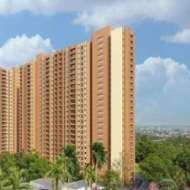about birla evara
