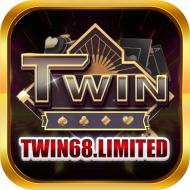 TWIN68 limited