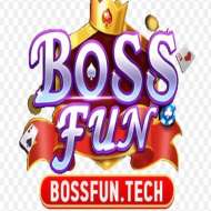 BOSSFUN tech