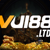 vui88 ltd