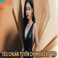 Tác Giả Fun88