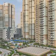 Prestige Evergreen