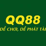 QQ8876 Net