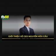CEO Nguyễn Hữu Cầu