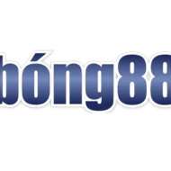 bong88o com