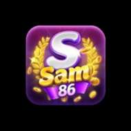 Sam86 report