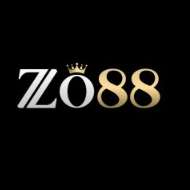 Zo88 network