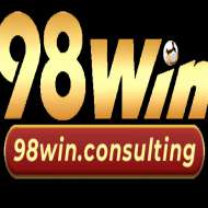 98Win consulting