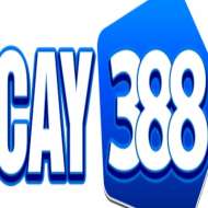 Cay388 cam
