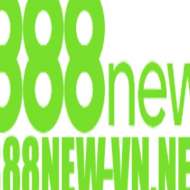 888new vn net