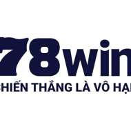 78Win observer