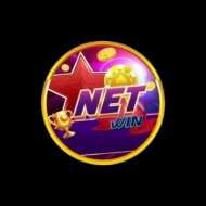 Netwin us com