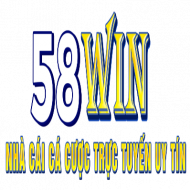 58Winvip skin
