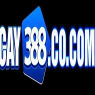 Cay388 cocom