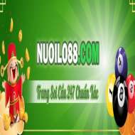 Nuoilo888 com