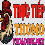 ĐÁ GÀ TRỰC TIẾP THOMO HÔM NAY TẠI CAMPUCHIA
