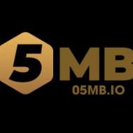 5MB io