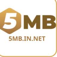 5Mb in net