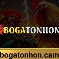 Bồ Gà Tonhon