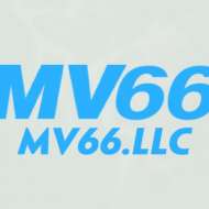 MV66 LLC