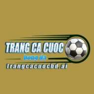 Trang Cá Cược Bóng Đá AI