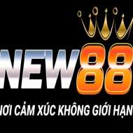 New88 ae org