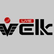 Velki Agent