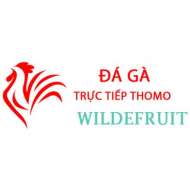 Đá Gà Trực Tiếp Thomo