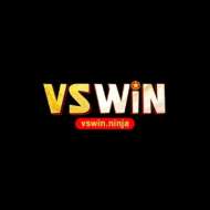 Vswin Ninja