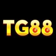 NHÀ CÁI TG88
