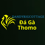 Đá Gà Trực Tiếp Thomo