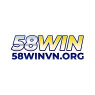 58Winvn org