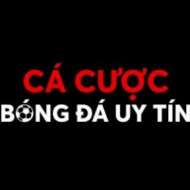 Cá Cược Bóng Đá