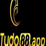 Tydo88 app