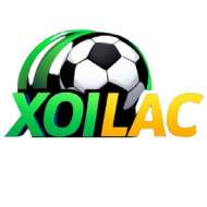 Xoilaclive Org
