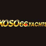 Xoso66 investments