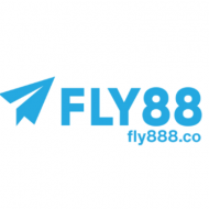 Fly888 co