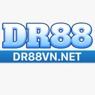 dr88vn net
