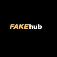 Fake hub