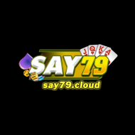 Say79 cloud