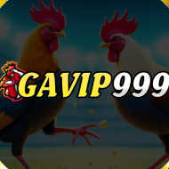 GAVIP999 CAM