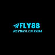 Fly88a cn com