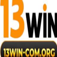 13Wincom org